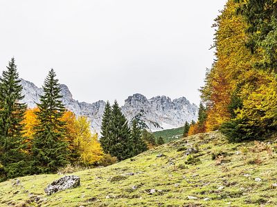 Where did the Wilder Kaiser get its name from?